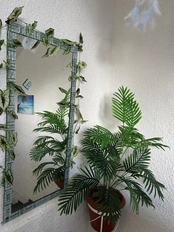Coco Villa — photo 10